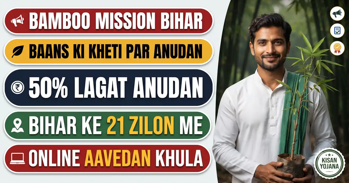 Bihar Bamboo Mission Yojana 2026-27 (Aavedan Khula) - Baans Ki Kheti Par Anudan, 21 Zile, 10 Se 50 Decimal Tak; Pehle Aao Pehle Pao