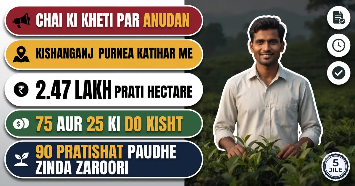 Bihar Chai Vikas Yojana 2026-27 - Rs 2.47 Lakh Prati Hectare Anudan, Sirf 5 Jile Me; Doosri Kisht Tabhi Jab 90% Paudhe Zinda Milein