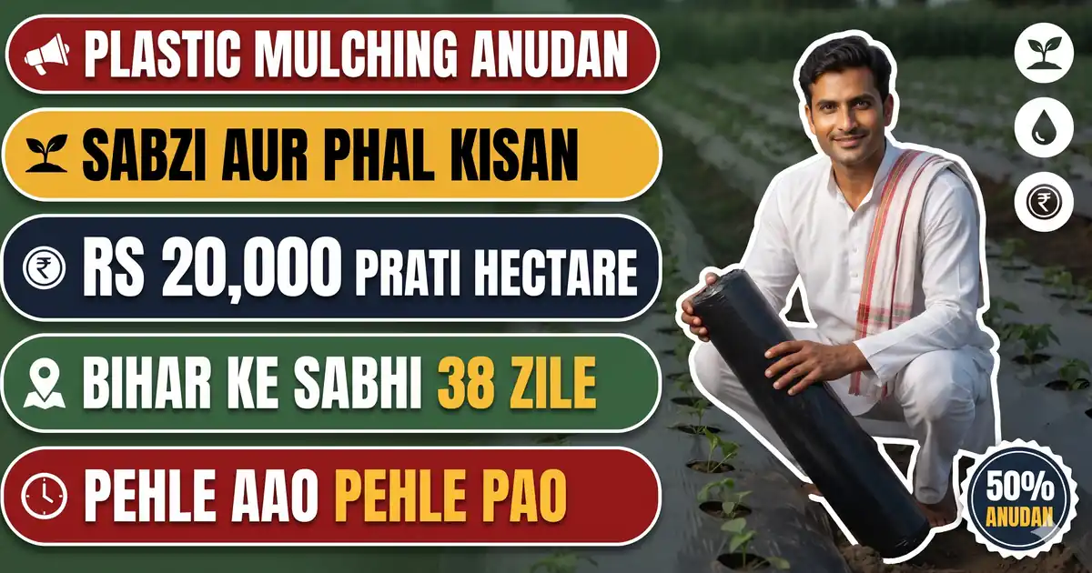 Bihar Plastic Mulching Anudan 2026-27 - Rs 20,000 Prati Hectare (50%) Ek Mushth; 38 Zilon Me 5,000 Hectare Ka Lakshya, Samastipur Aur Nalanda Sabse Aage